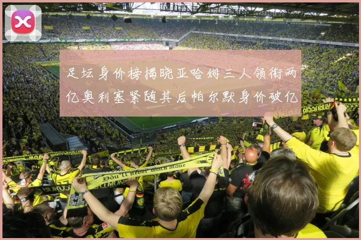 足坛身价榜揭晓亚哈姆三人领衔两亿奥利塞紧随其后帕尔默身价破亿